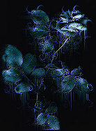 Creation by Charlotte!!! ;-))